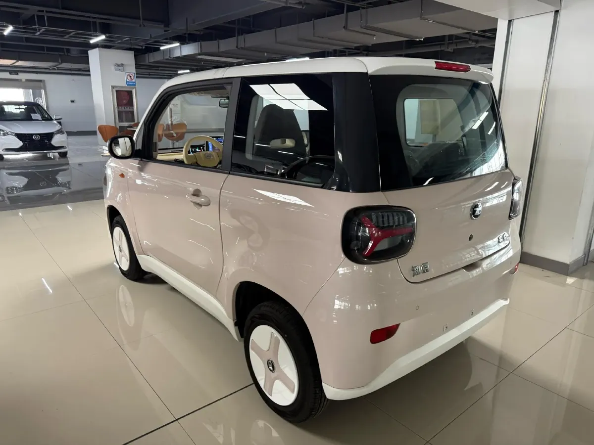 2024 ZD Rainbow BEV 17.3KWH,autocango,china used car exporter,china ev exporter,chinese used car exporter,chinese used ev exporter