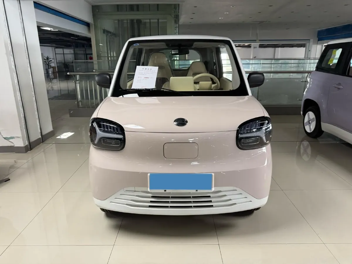 2024 ZD Rainbow BEV 17.3KWH,autocango,china used car exporter,china ev exporter,chinese used car exporter,chinese used ev exporter