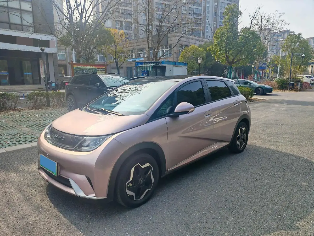 2021 BYD Yuan Pro BEV 50.1KWH