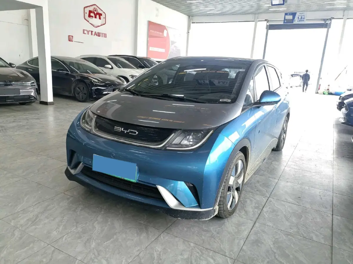 2021 BYD e2 BEV 43.2KWH