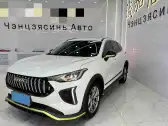 2022 HAVAL RABBIT,autocango,china used car exporter,china ev exporter,chinese used car exporter,chinese used ev exporter