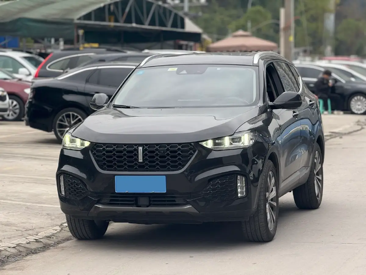 2018 WEY VV6 2.0T 197HP L4 7DCT