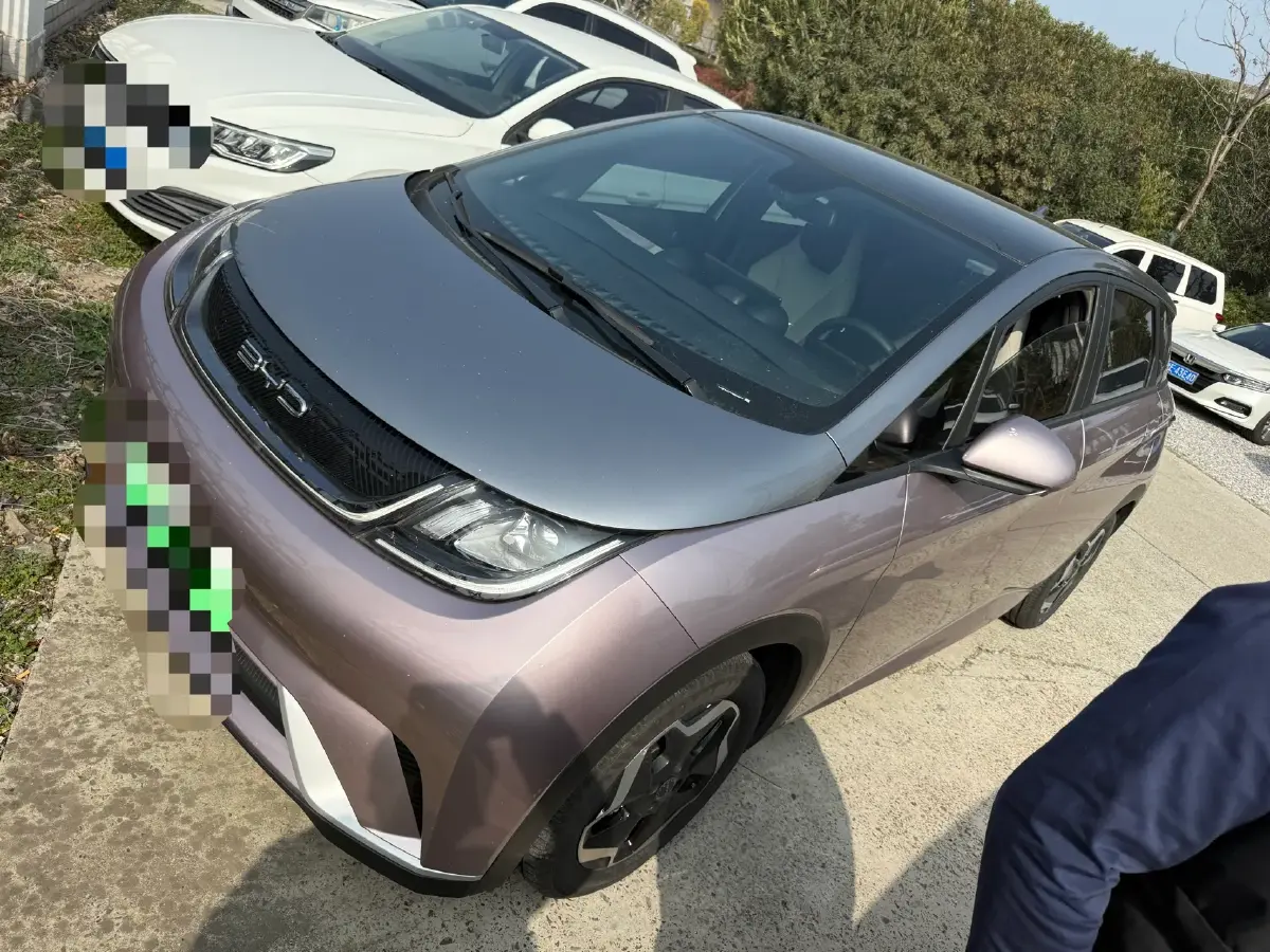 2021 BYD Yuan Pro BEV 50.1KWH