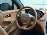 2021 Aston Martin DBX 4.0T 550HP V8 9AT