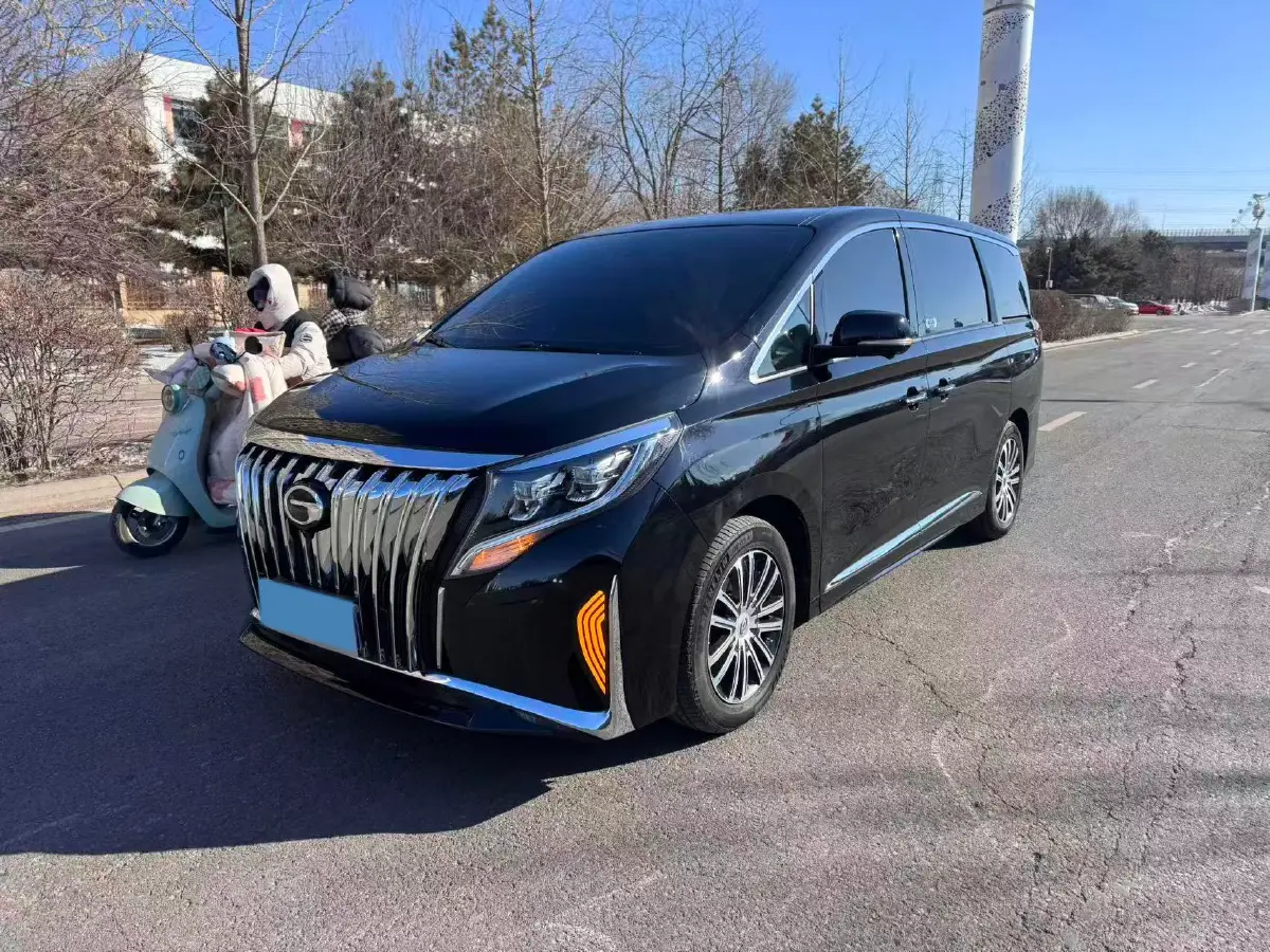 2023 GAC Trumpchi M8 2.0T 252HP L4 8AT