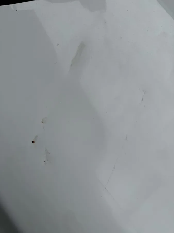 2018 Hyundai Elantra 1.6L 130HP L4 6AT,autocango,china used car exporter,china ev exporter,chinese used car exporter,chinese used ev exporter