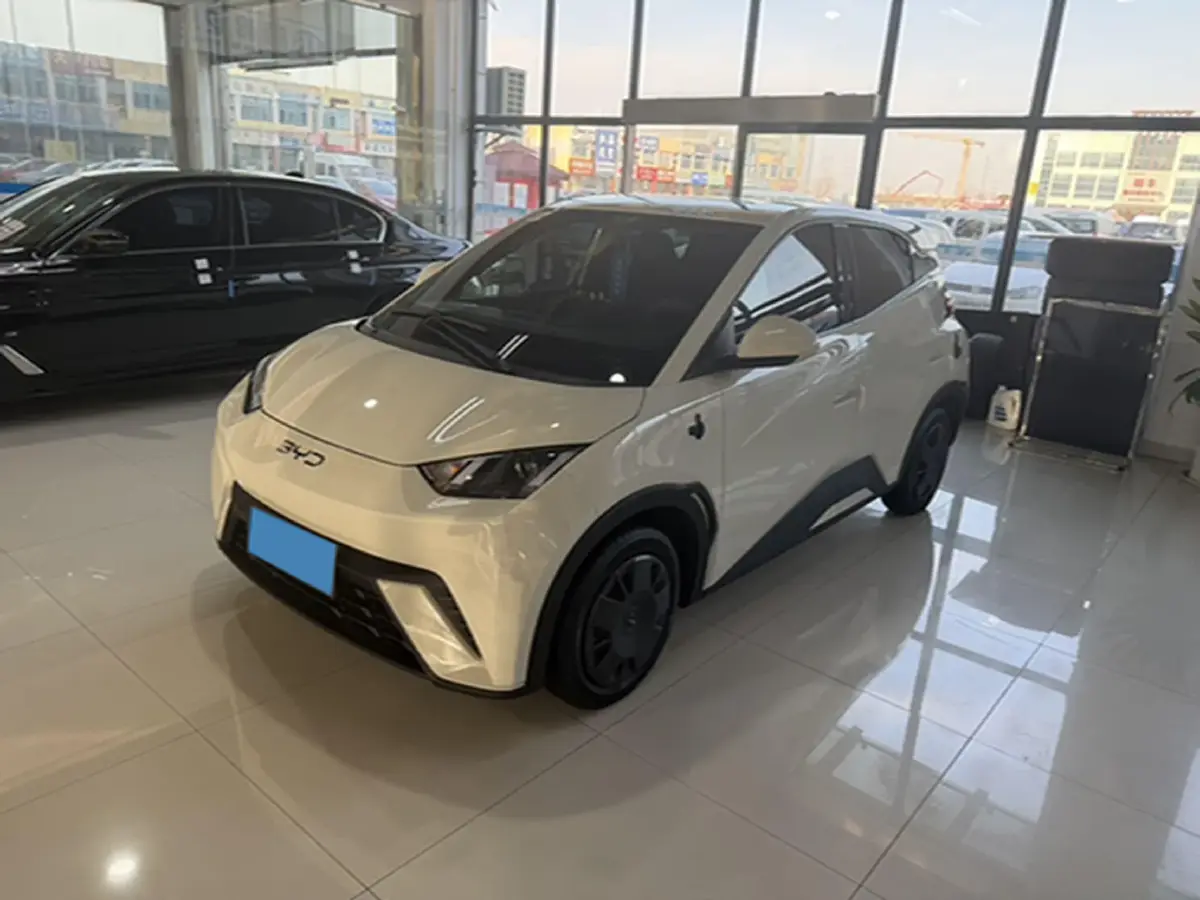 2024 BYD Seagull BEV 30.08KWH