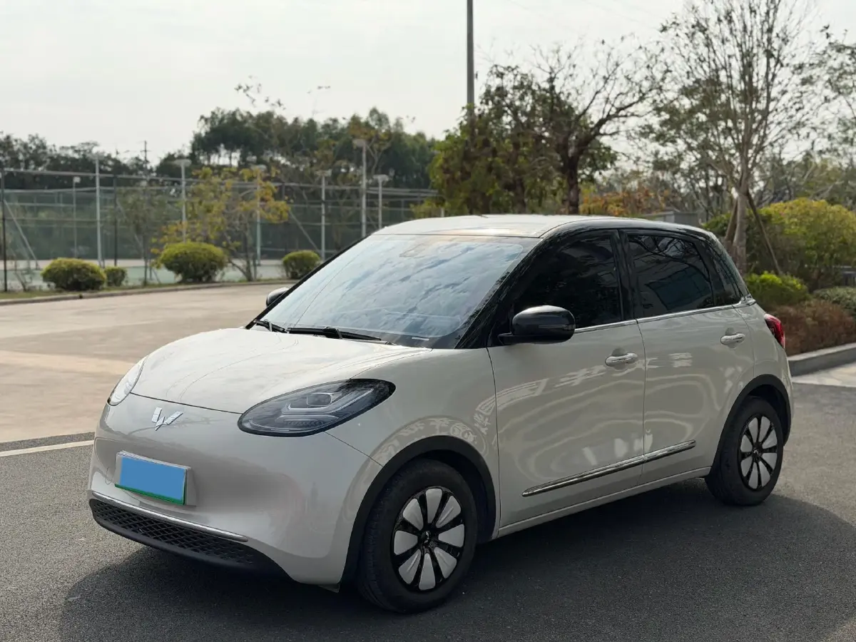 2023 WuLing BinGuo BEV 17.3KWH
