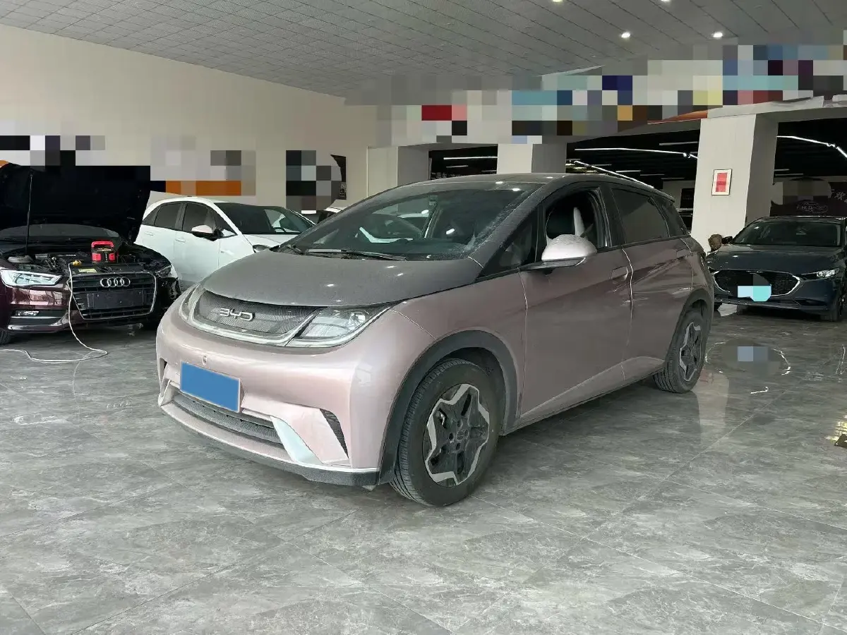 2021 BYD Yuan Pro BEV 50.1KWH
