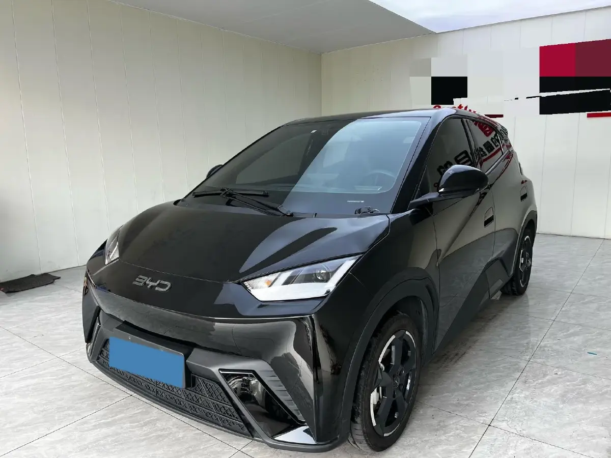 2024 BYD Seagull BEV 38.88KWH
