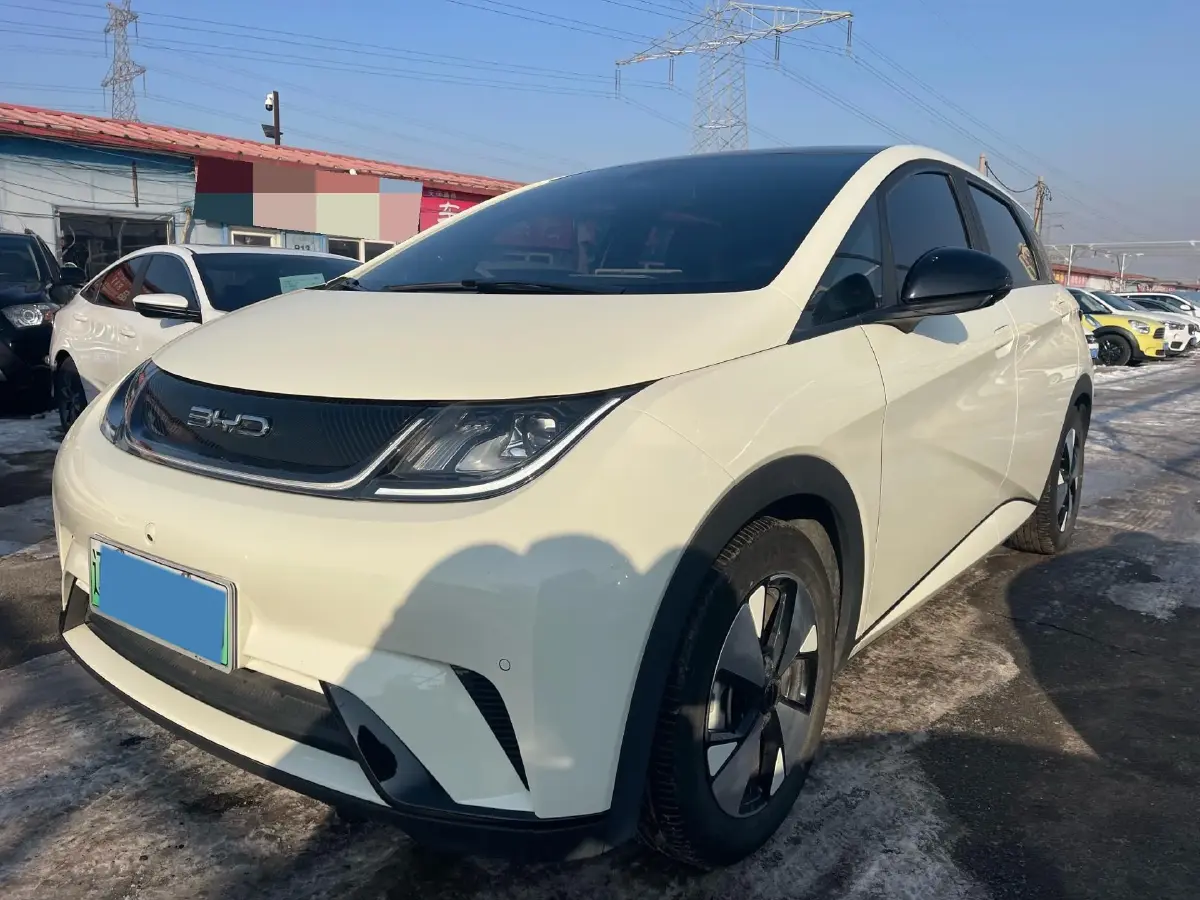 2023 BYD Dolphin BEV 44.928KWH