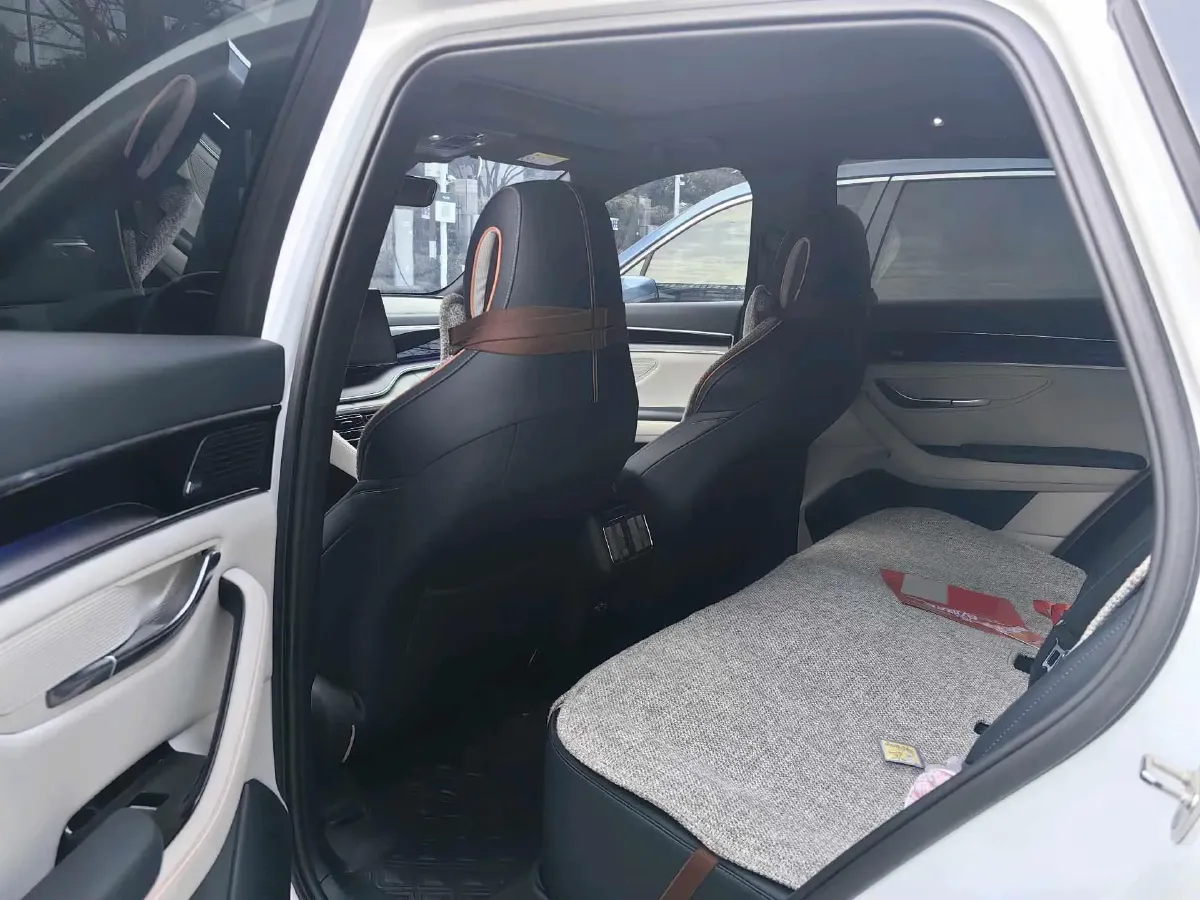 2021 SRM Sea Lion EV BEV 41.86KWH,autocango,china used car exporter,china ev exporter,chinese used car exporter,chinese used ev exporter