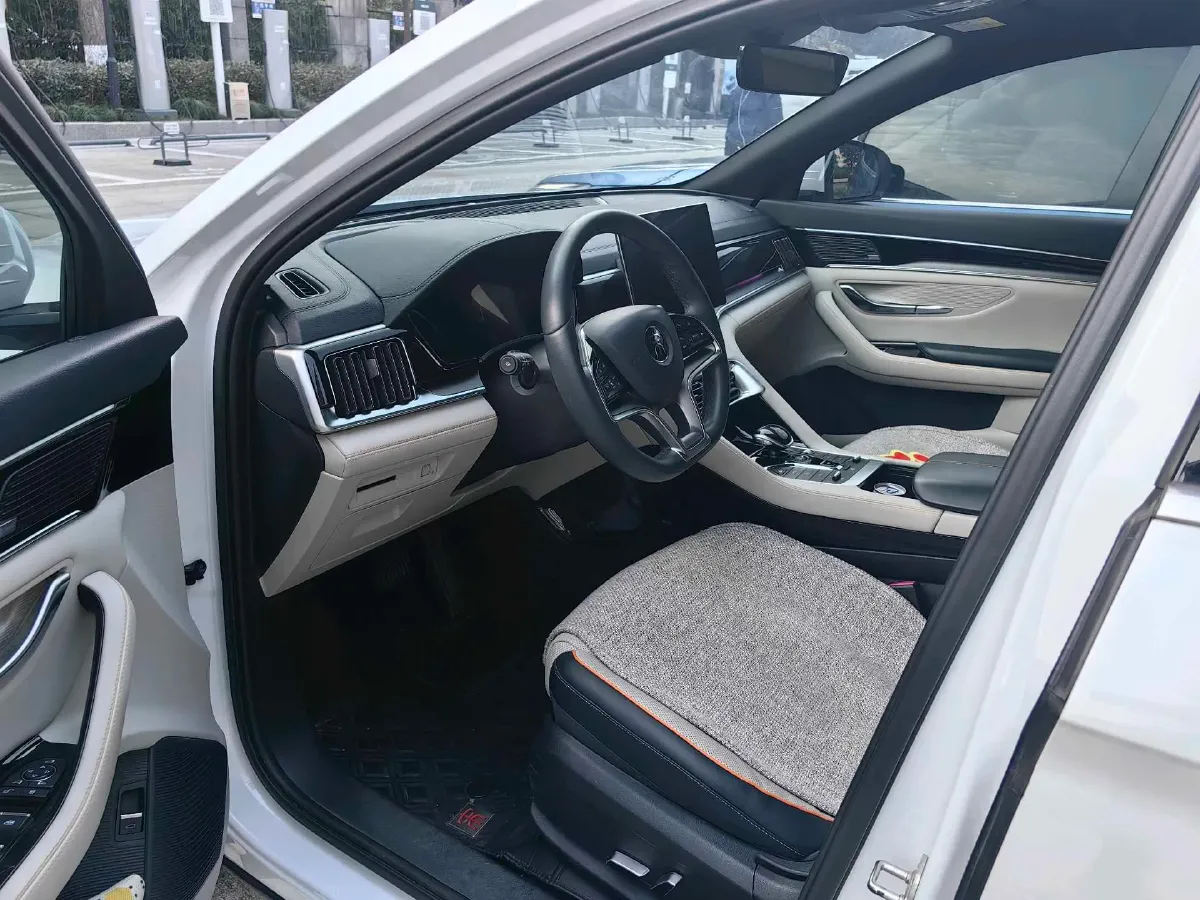 2021 SRM Sea Lion EV BEV 41.86KWH,autocango,china used car exporter,china ev exporter,chinese used car exporter,chinese used ev exporter