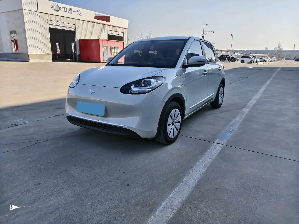 2024 WuLing BinGuo BEV 17.3KWH
