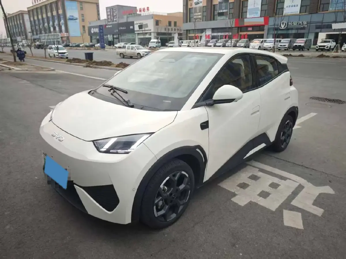 2025 BYD Seagull BEV 38.88KWH