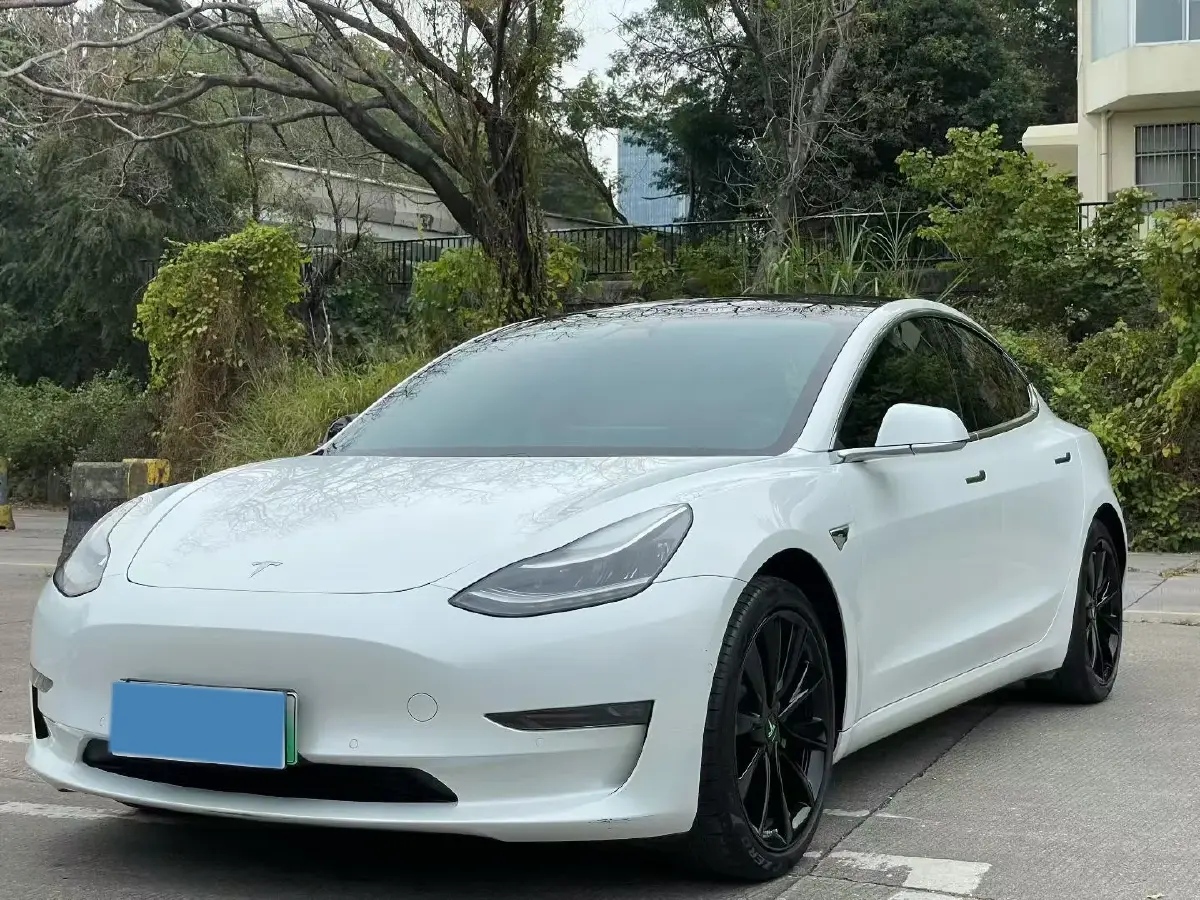 2019 Tesla Model 3 BEV 81KWH