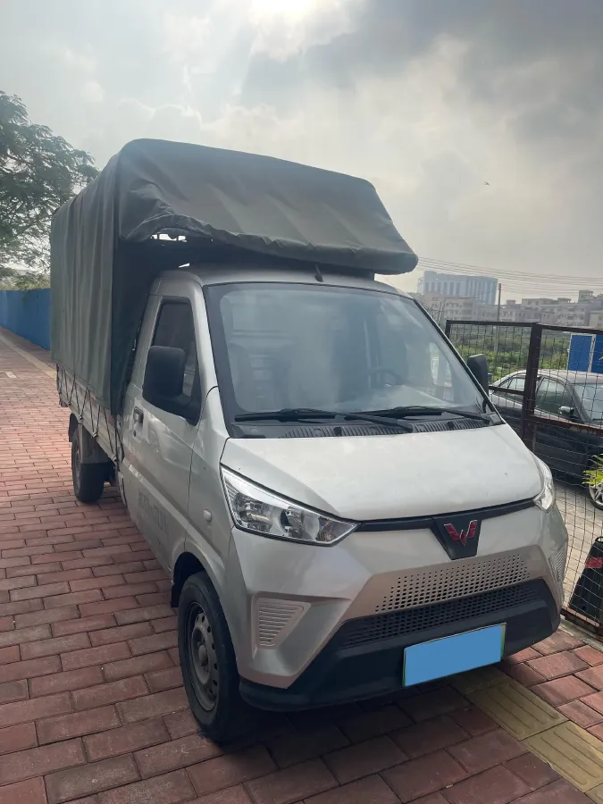 2021 WuLing Electric Truck BEV 36.16KWH,autocango,china used car exporter,china ev exporter,chinese used car exporter,chinese used ev exporter