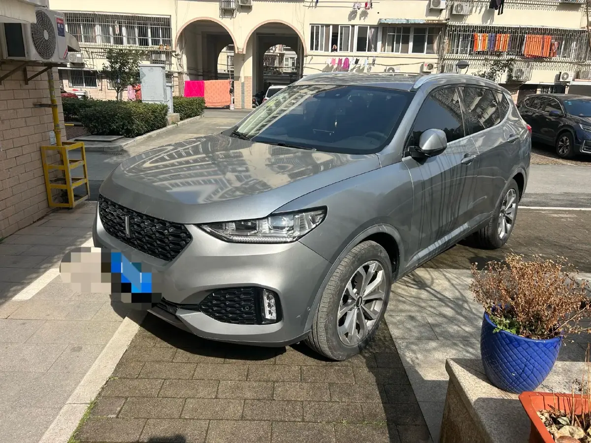 2018 WEY VV6 2.0T 197HP L4 7DCT