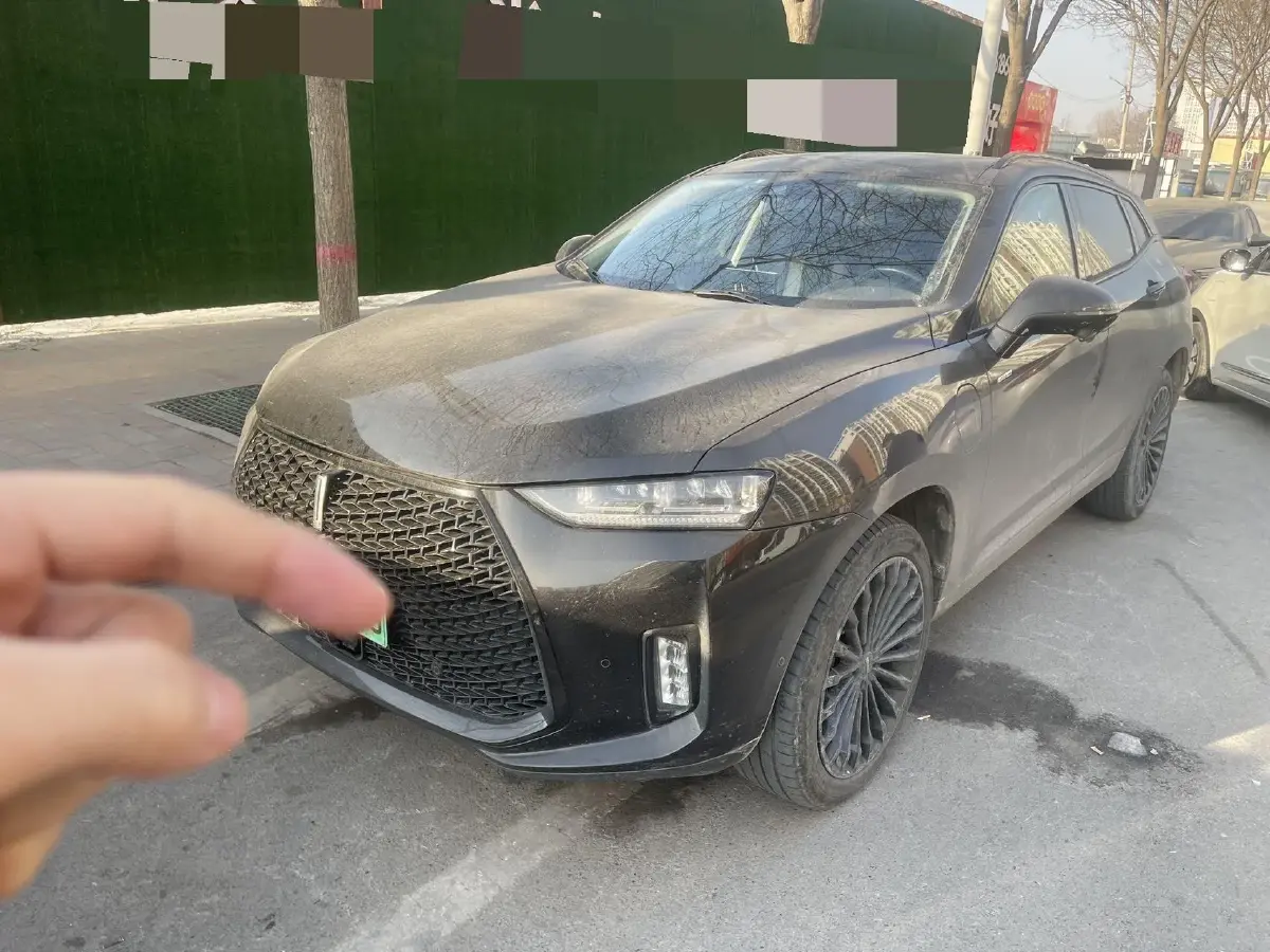 2018 WEY P8 2.0T 234HP L4 6DCT PHEV 12.96KWH