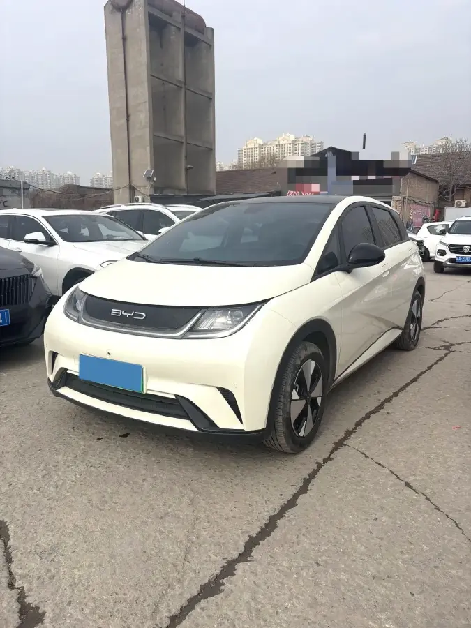 2023 BYD Dolphin BEV 44.928KWH