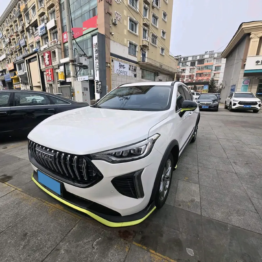 2022 Haval Rabbit 1.5T 150HP L4 7DCT