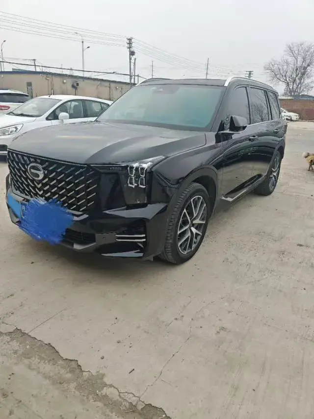 2022 GAC Trumpchi GS8 2.0T 252HP L4 8AT