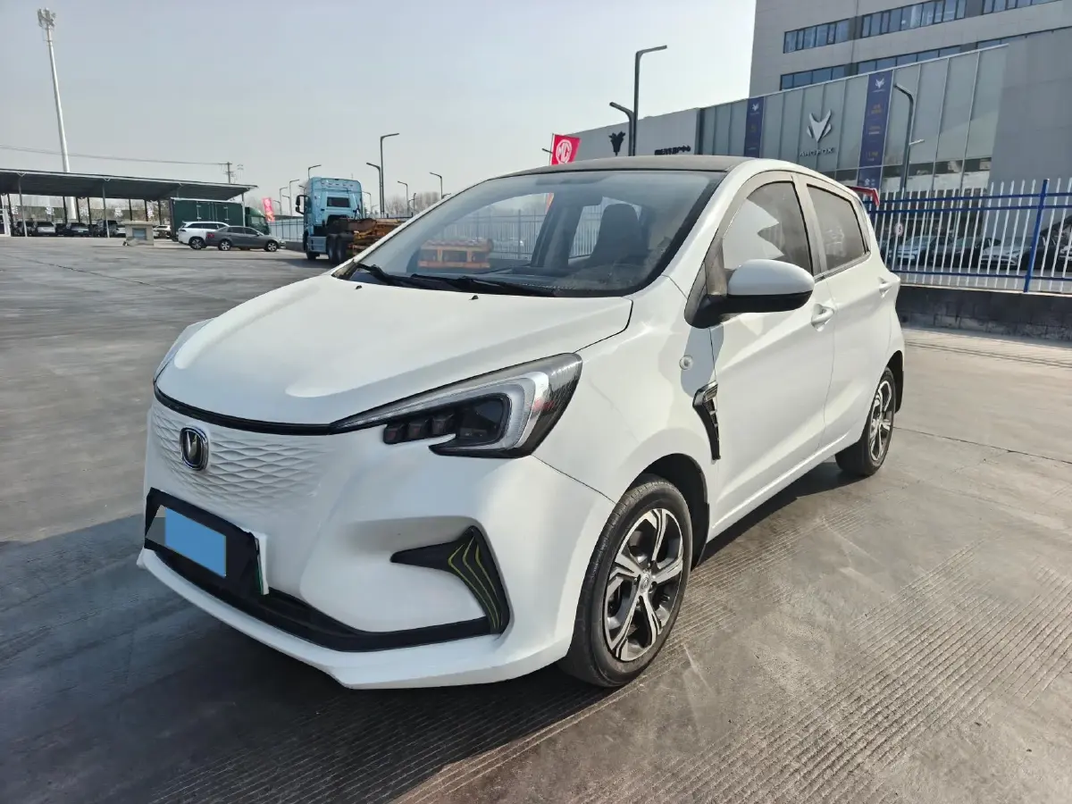 2021 ChangAn BenBen E-Star BEV 31.86KWH