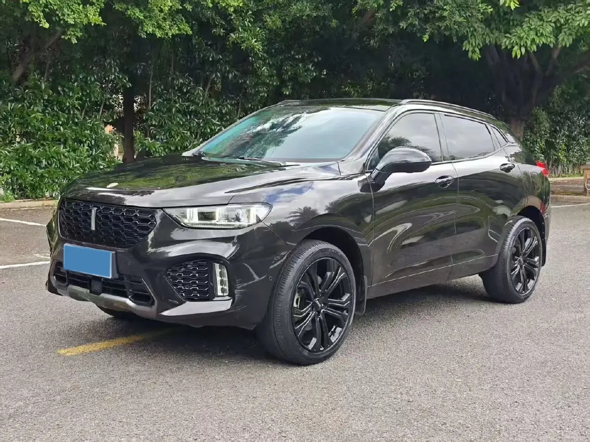 2019 WEY VV5 2.0T 197HP L4 7DCT