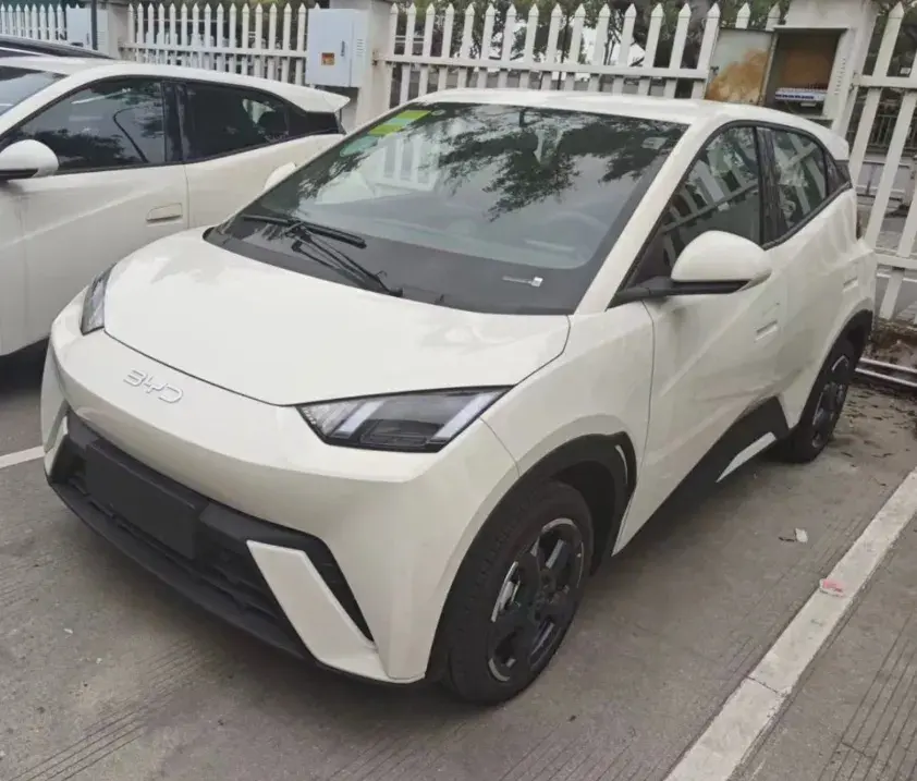 2024 BYD Seagull BEV 38.88KWH