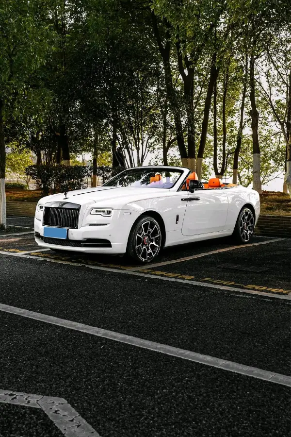 2018 Rolls-Royce Dawn 6.6T 571HP V12 8AT