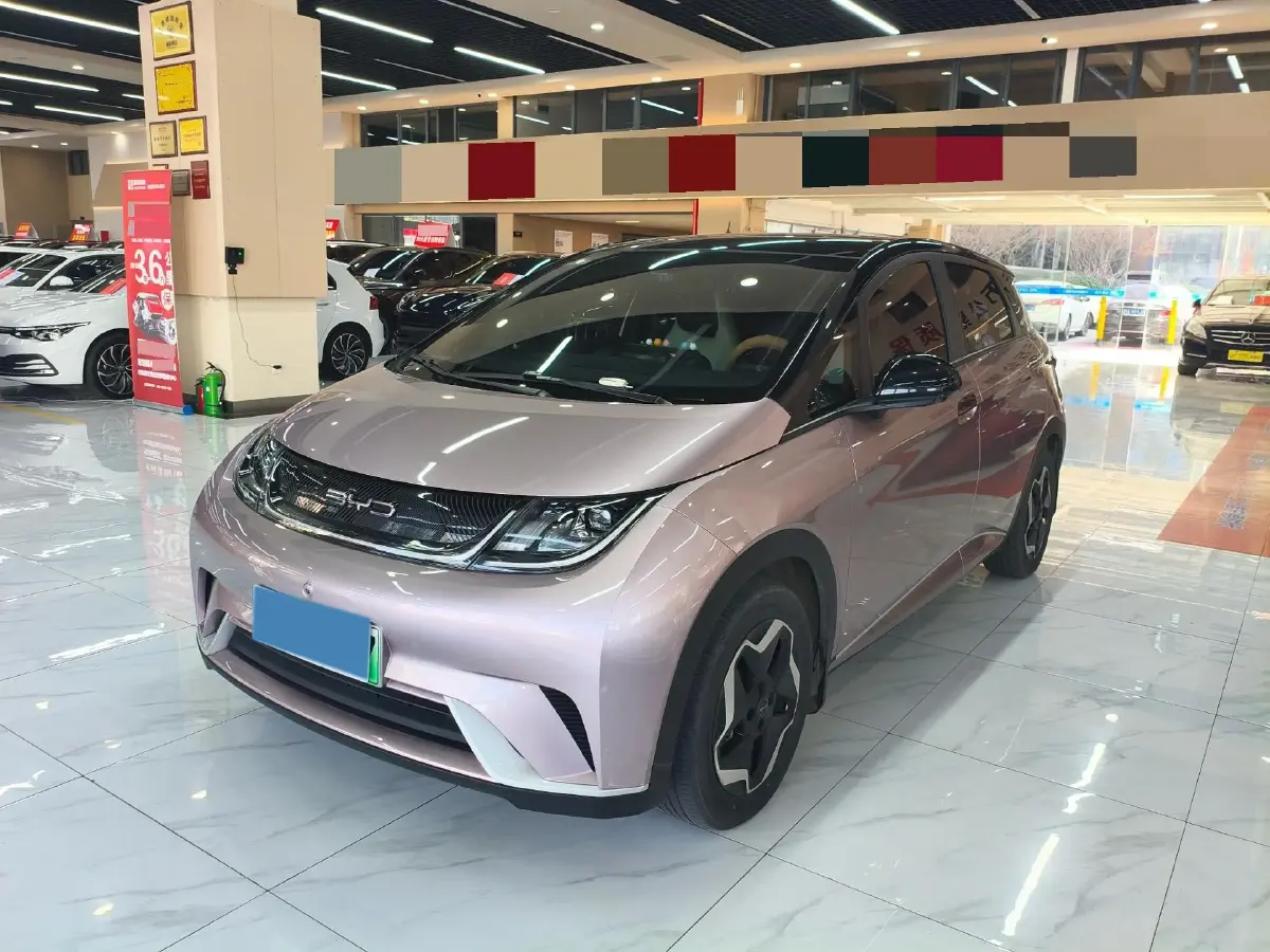 2021 BYD Yuan Pro BEV 50.1KWH