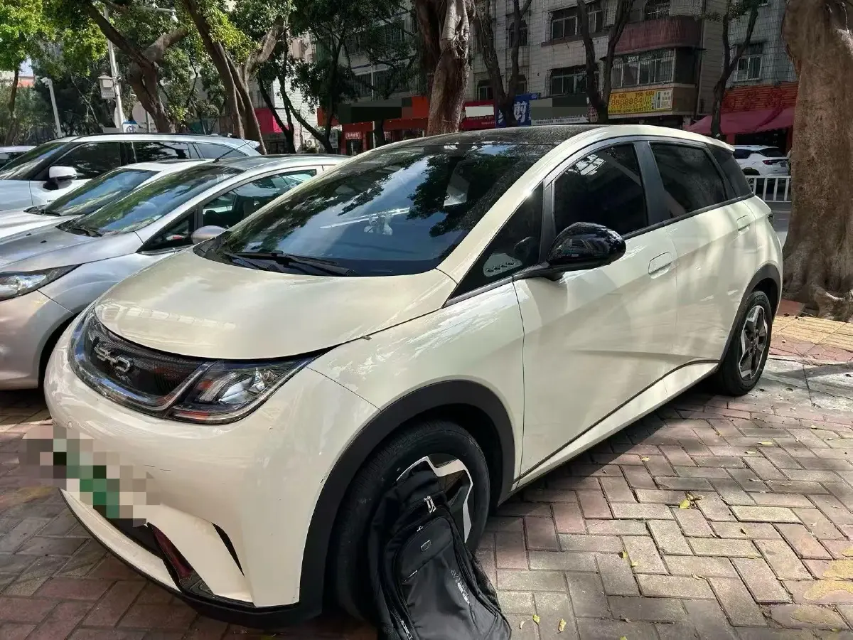 2021 BYD Yuan Pro BEV 50.1KWH