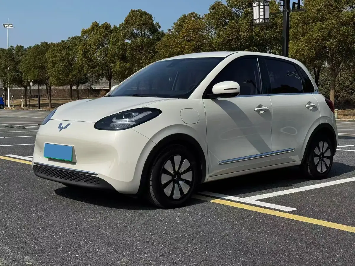 2023 WuLing BinGuo BEV 31.9KWH