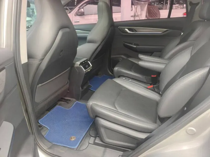 2020 Weltmeister EX6 BEV,autocango,china used car exporter,china ev exporter,chinese used car exporter,chinese used ev exporter