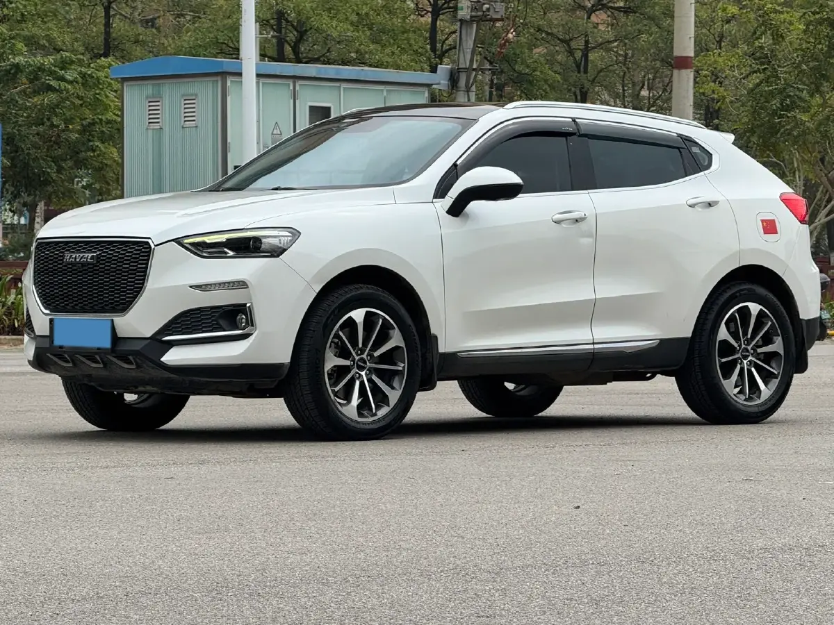 2019 Haval F5 1.5T 169HP L4 7DCT