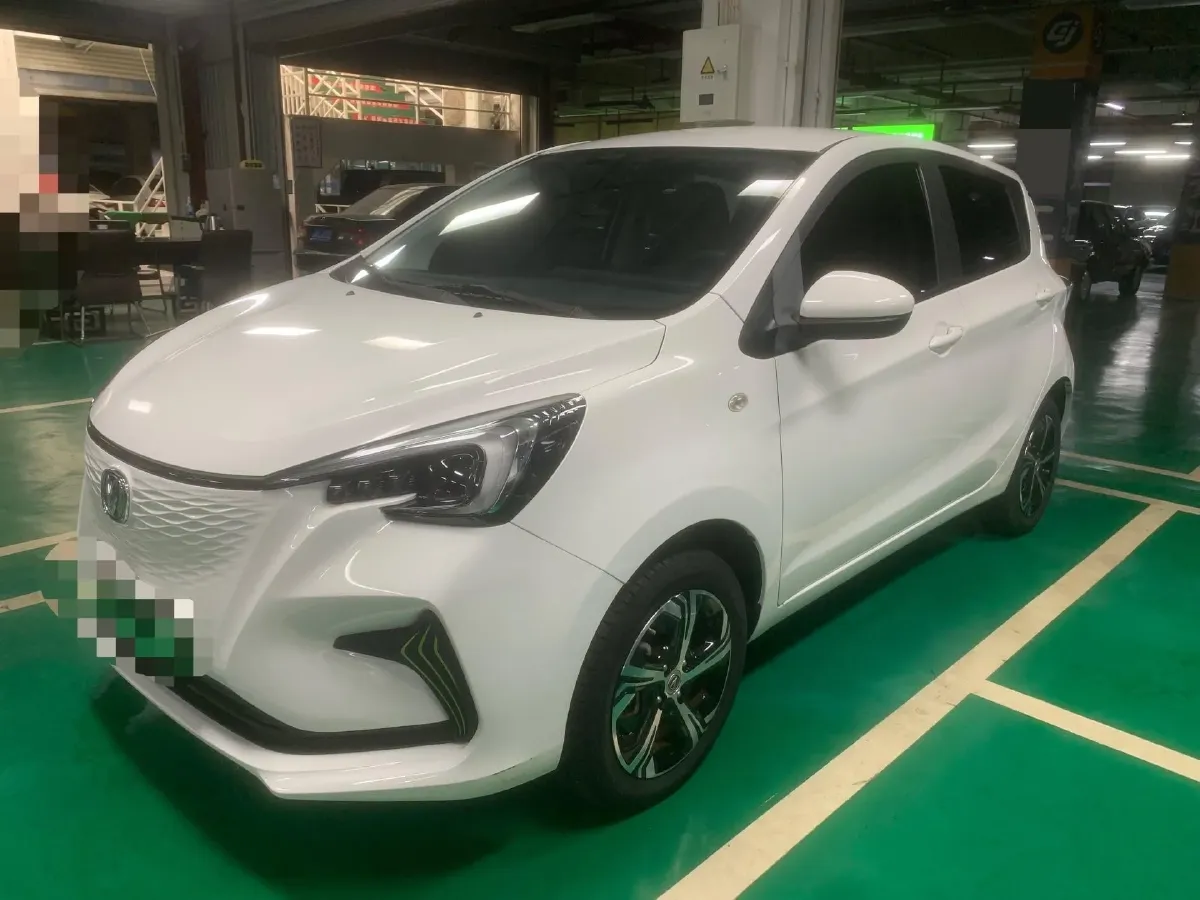 2022 ChangAn BenBen E-Star BEV 31.95KWH,autocango,china used car exporter,china ev exporter,chinese used car exporter,chinese used ev exporter