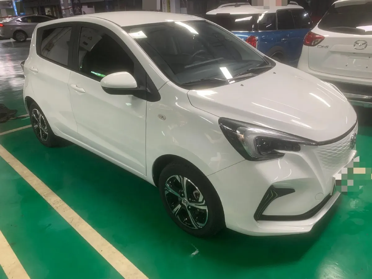 2022 ChangAn BenBen E-Star BEV 31.95KWH,autocango,china used car exporter,china ev exporter,chinese used car exporter,chinese used ev exporter