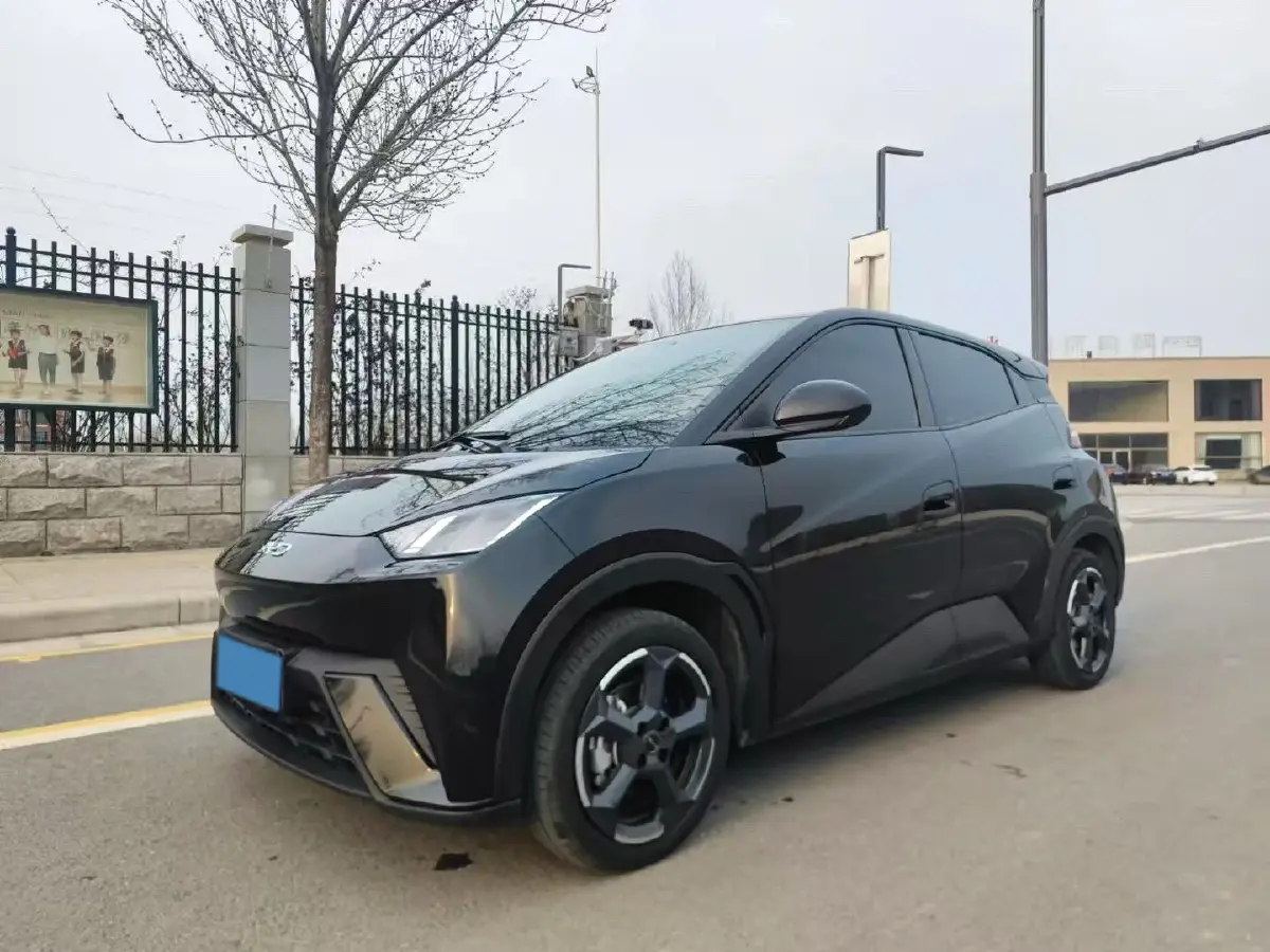 2024 BYD Seagull BEV 38.88KWH