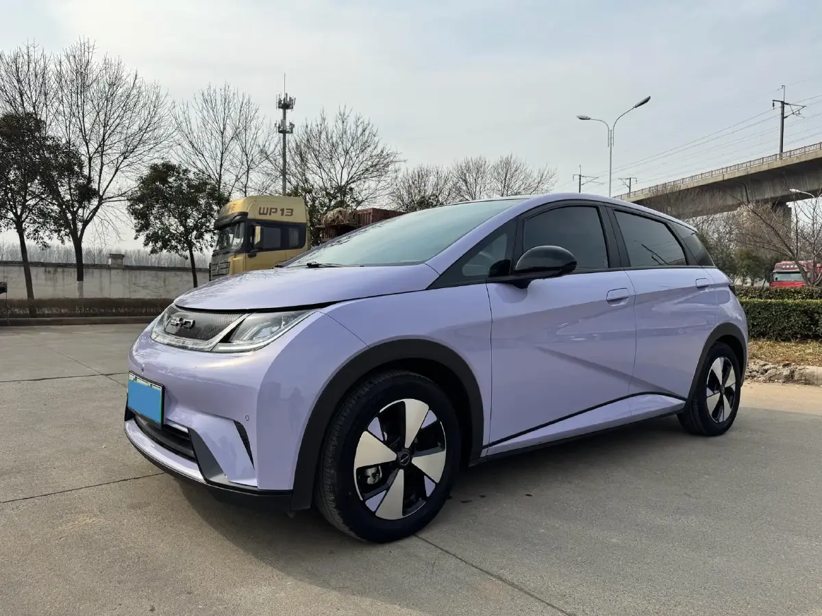2023 BYD Dolphin BEV 44.928KWH