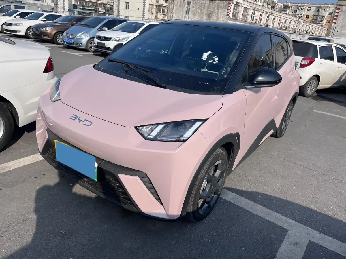 2025 BYD Seagull BEV 30.08KWH