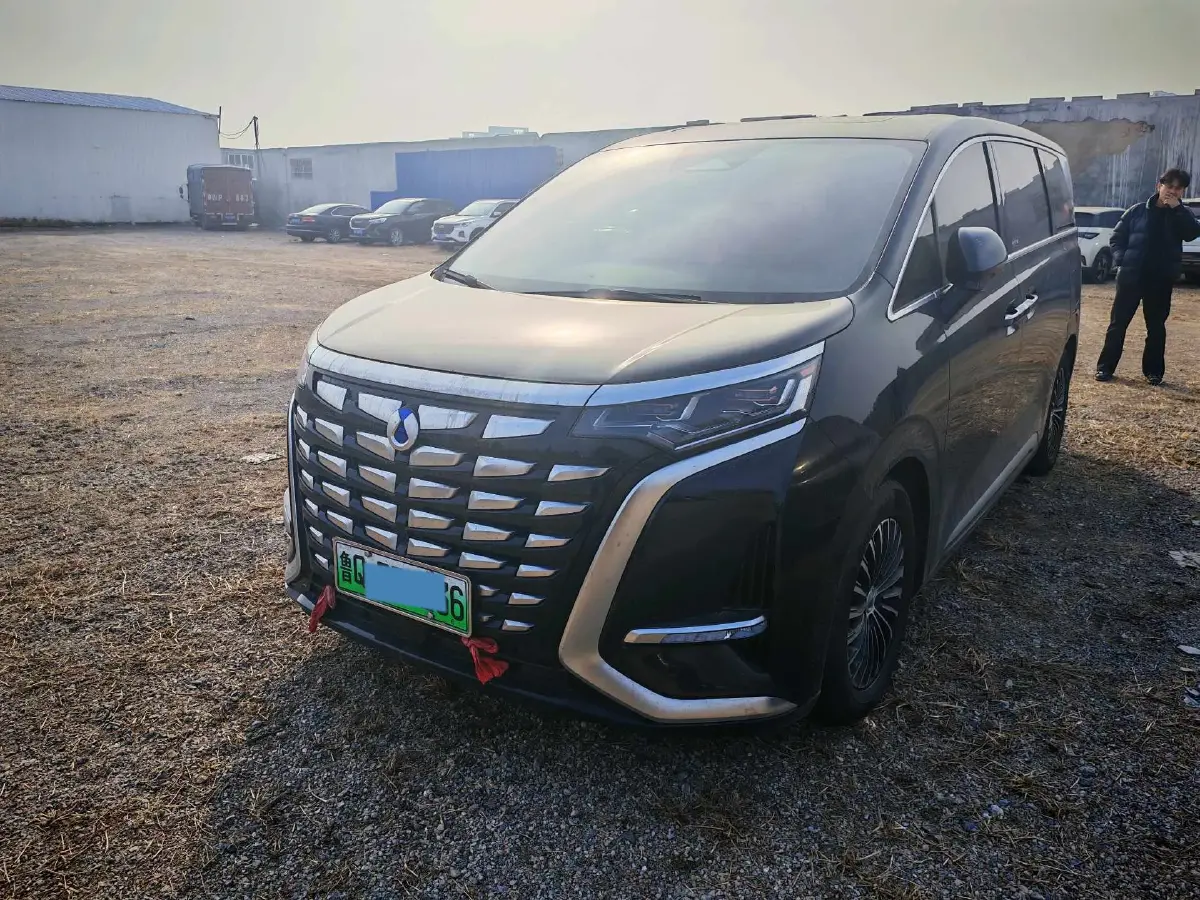 2024 Denza D9 1.5T 139HP L4 E-CVT PHEV 40KWH