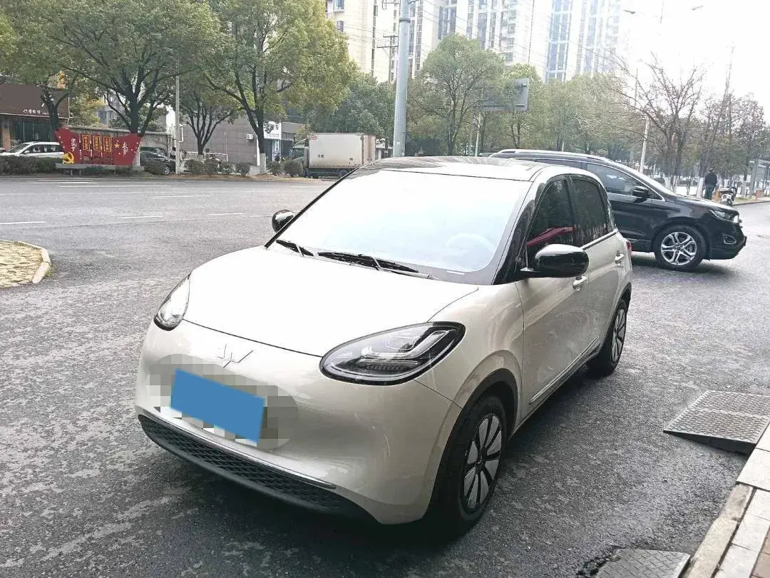 2023 WuLing BinGuo BEV 17.3KWH