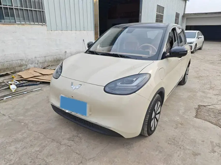 2025 WuLing BinGuo BEV