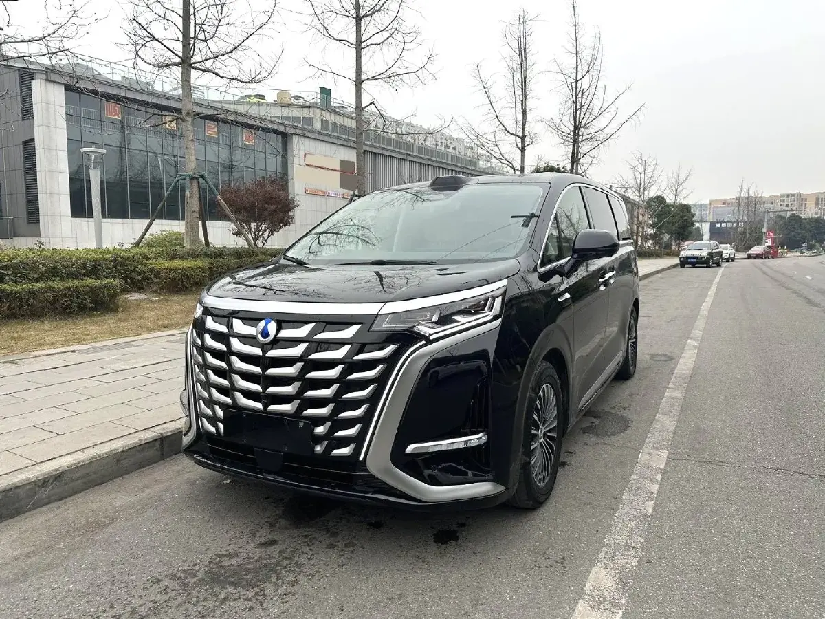 2025 Denza D9 1.5T 156HP L4 E-CVT PHEV 40KWH