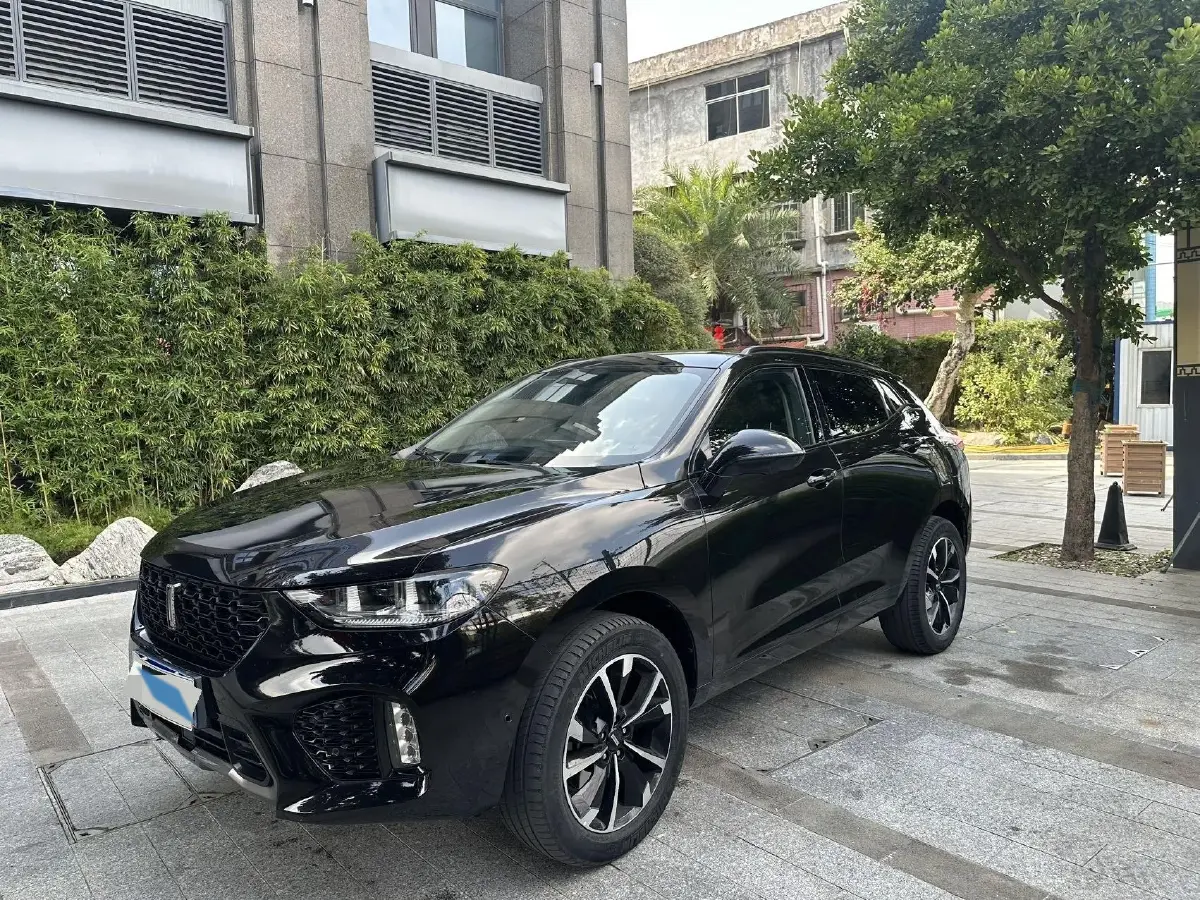 2019 WEY VV5 2.0T 224HP L4 7DCT