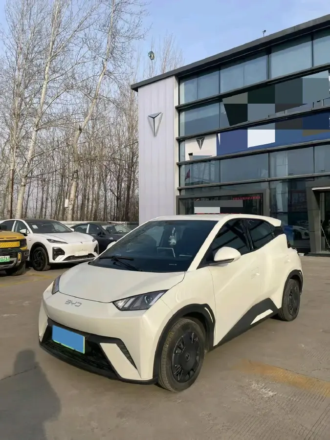 2024 BYD Seagull BEV 30.08KWH