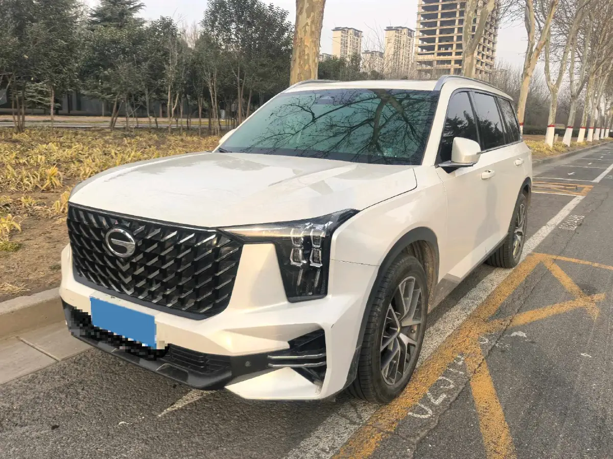 2022 GAC Trumpchi GS8 2.0T 252HP L4 8AT