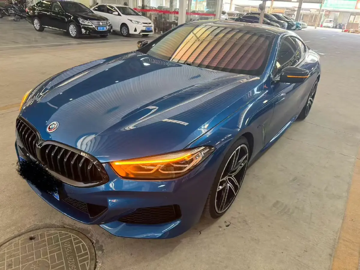 2019 BMW 8 Series 3.0T 340HP L6 8AT