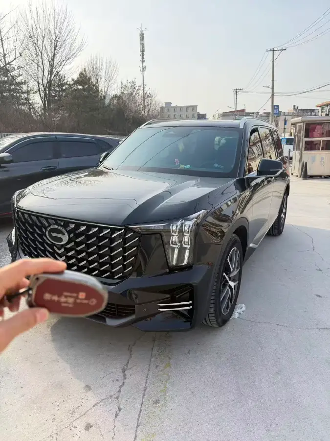 2022 GAC Trumpchi GS8 2.0T 252HP L4 8AT