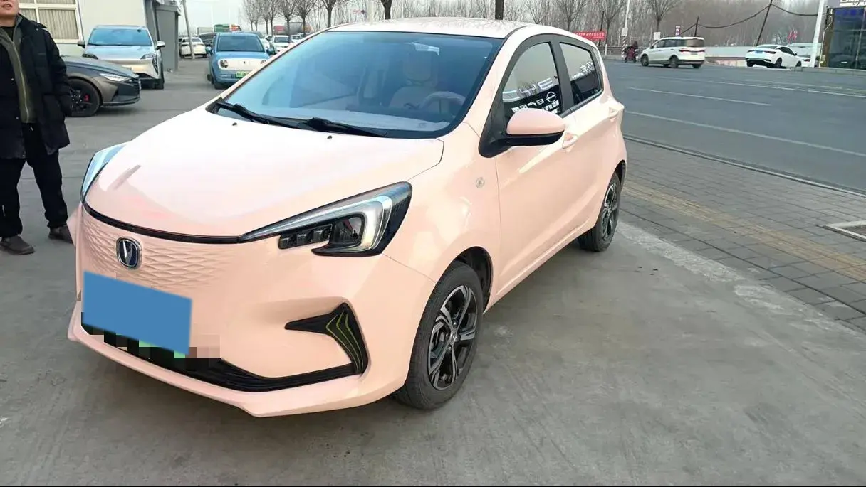 2022 ChangAn BenBen E-Star BEV 32.2KWH